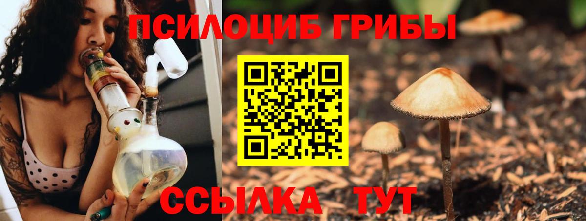 Псилоцибиновые грибы Psilocybine cubensis  Псилоцибиновые грибы Psilocybe  Вход с VPN  Новокубанск 